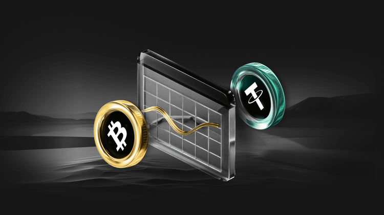 US Federal Reserve’s Interest Rate Strategy and Cryptocurrency Market Dynamics